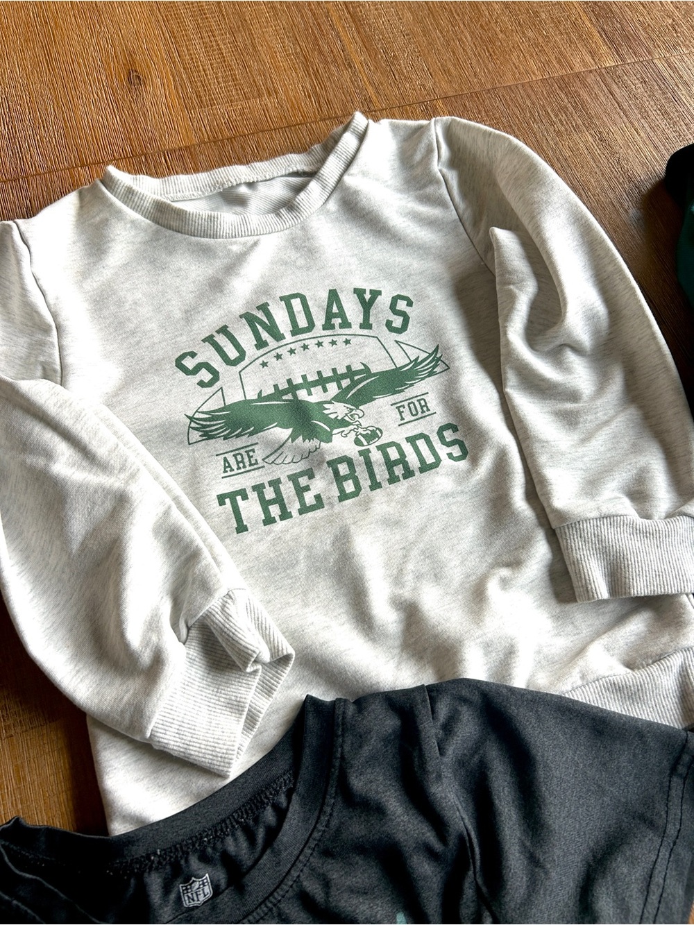 Philadelphia Eagles Toddler Boy 4pc Bundle, 3T-4T - Picture 2 of 9